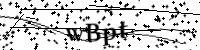 Please type the letters and numbers below