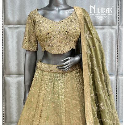 Tea Green Banarasi Silk Casual Lehenga