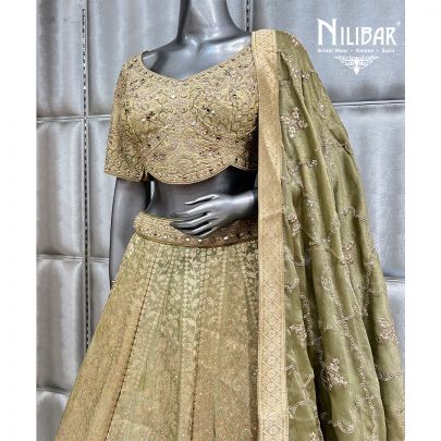 Tea Green Banarasi Silk Casual Lehenga