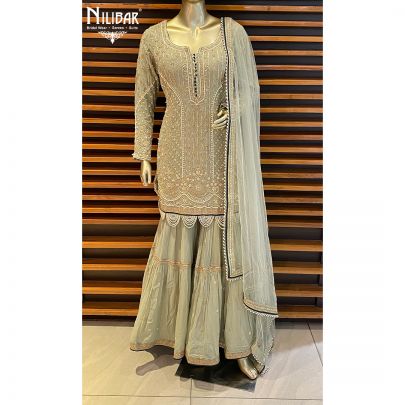 Pistachio Green Georgette and Net Heavy Sit