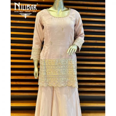 Crepe Pink Silk and Lamba Tissue Palazzo Suit Set