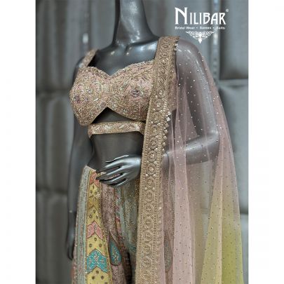 Multi Pista Georgette Soft Net Jaffa Pant Suit