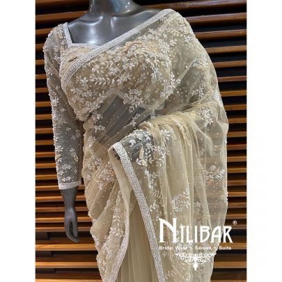 Light Beige Net Saree