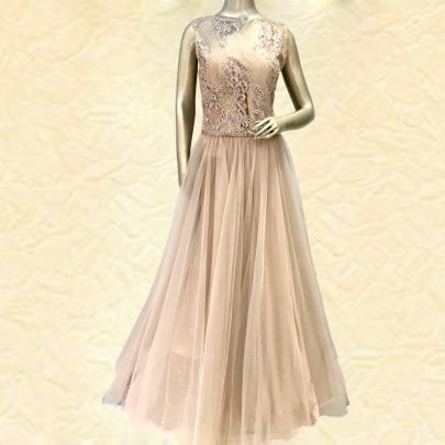 Dull Peach Net Gown
