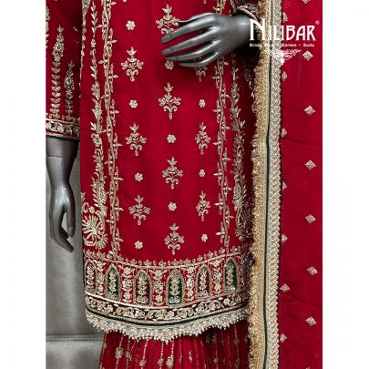 Blood Red Organza Garara Suit