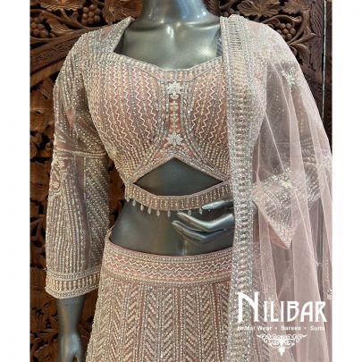 Pastel Pink Net Heavy Lehenga