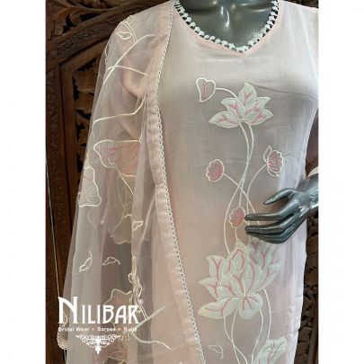 Powder Pink Georgette Pant Suit