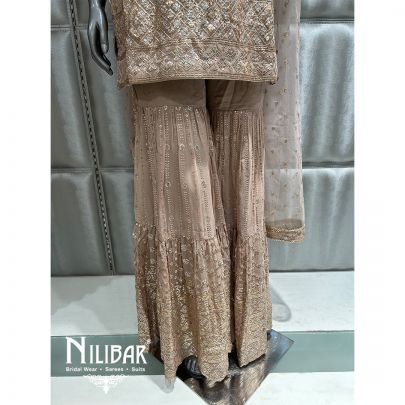 Light Georgette Sequin Garara Suit