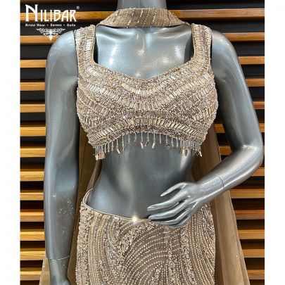 Beige Gold Net Lehenga Paired With Organza Dupatta