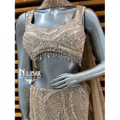 Beige Gold Net Lehenga Paired With Organza Dupatta