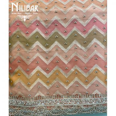 Salmon Pink Organza Unstitched Suit