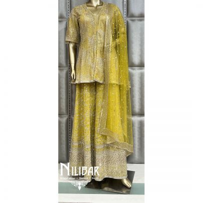 Parrot Green Net Suit Set