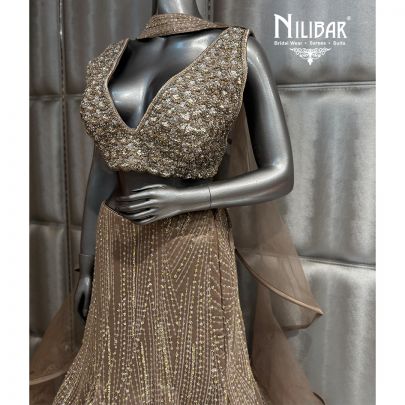 Light Brown Net Lehenga