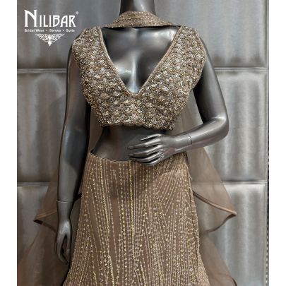 Light Brown Net Lehenga