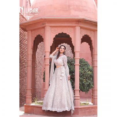 Mushroom Grey Net Lehenga