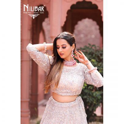 Mushroom Grey Net Lehenga