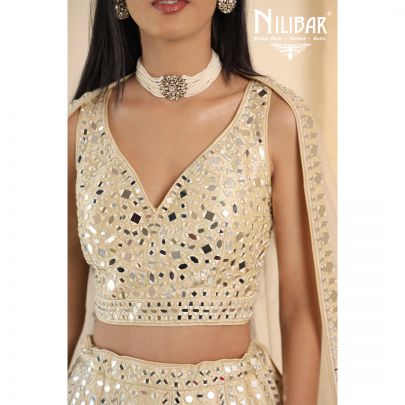 Beige Silk and Net Lehenga