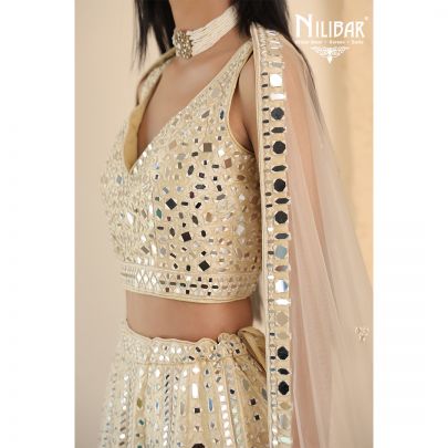 Beige Silk and Net Lehenga