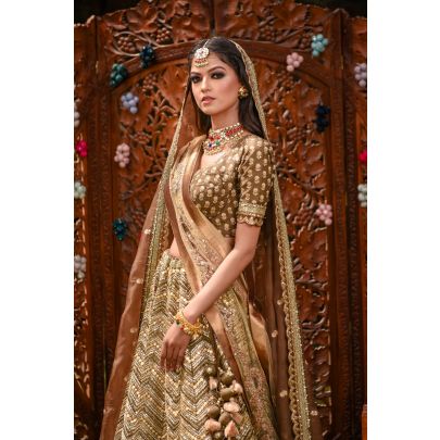 Metallic Brown Raw Silk Lehenga