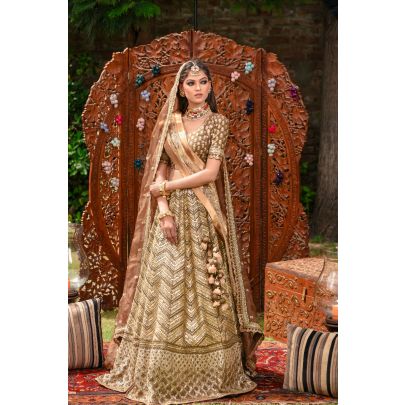 Metallic Brown Raw Silk Lehenga