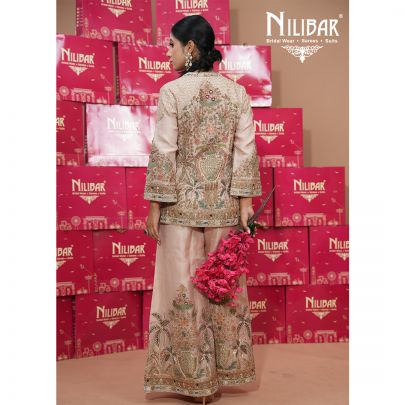 Pastel Pink Lamé Tissue Indo-Western Set