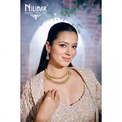 Beige Net Lehenga