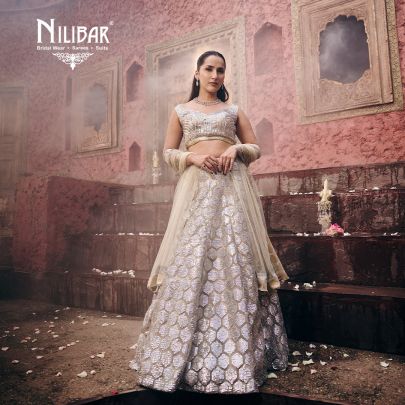Beige Net Embroidered Lehenga