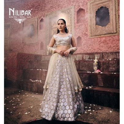 Beige Net Embroidered Lehenga