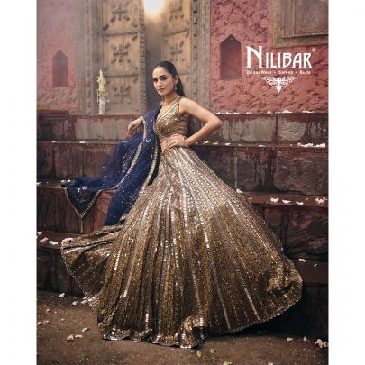 Gold & Blue Pink Net Lehenga