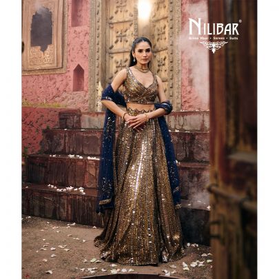 Gold & Blue Pink Net Lehenga