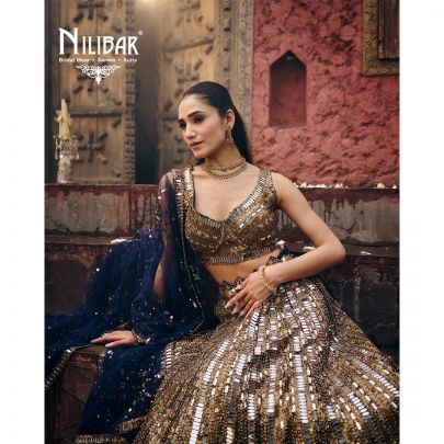 Gold & Blue Pink Net Lehenga