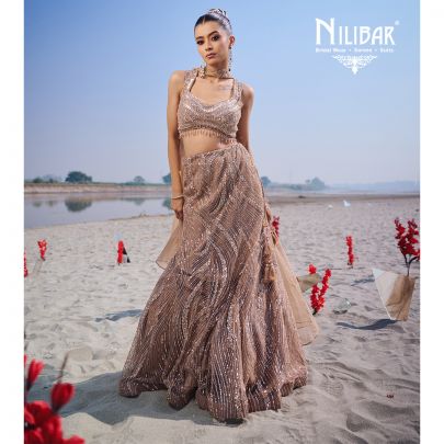 Beige Gold Net Lehenga Paired With Organza Dupatta
