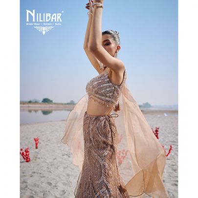 Beige Gold Net Lehenga Paired With Organza Dupatta