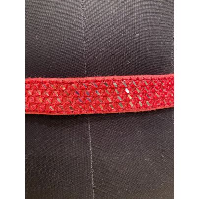Carrot Silk Belt