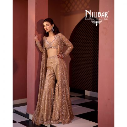 Salmon Net Indo Western Set