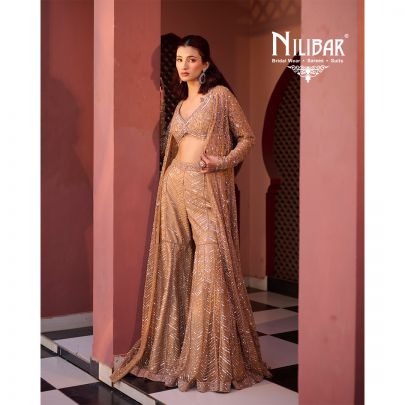 Salmon Net Indo Western Set